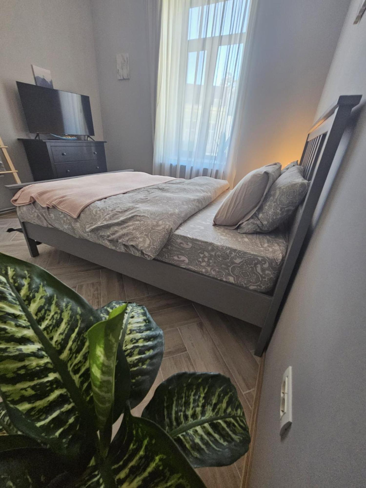 Zig Zag Apartment 4- Old Town Köstence Dış mekan fotoğraf